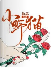 小野貓