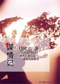 謀情記